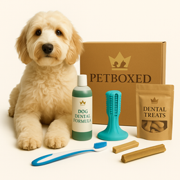 Dental Care Box – Fresh Breath & Clean Teeth (Dog & Cat)