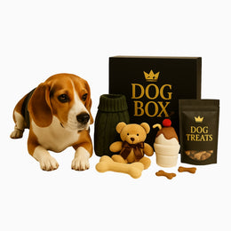 Dog Deluxe Box – Toys & Treats for Active Dogs