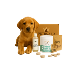 Dog Supplement Box – Daily Health & Wellness Support
