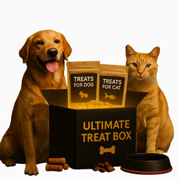Cat Supplement Box – Health, Coat & Digestive Support